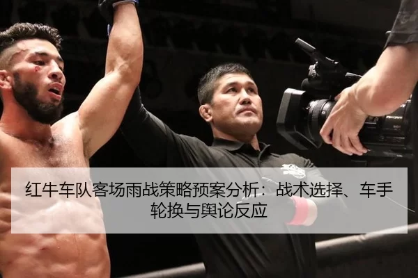 红牛车队客场雨战策略预案分析：战术选择、车手轮换与舆论反应